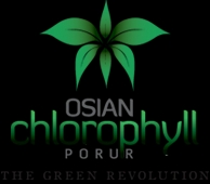 Osian-Chlorophyll.jpg